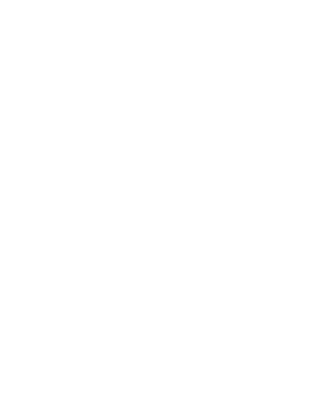 The Carroll Group